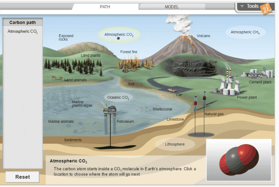 Carbon Cycle gif